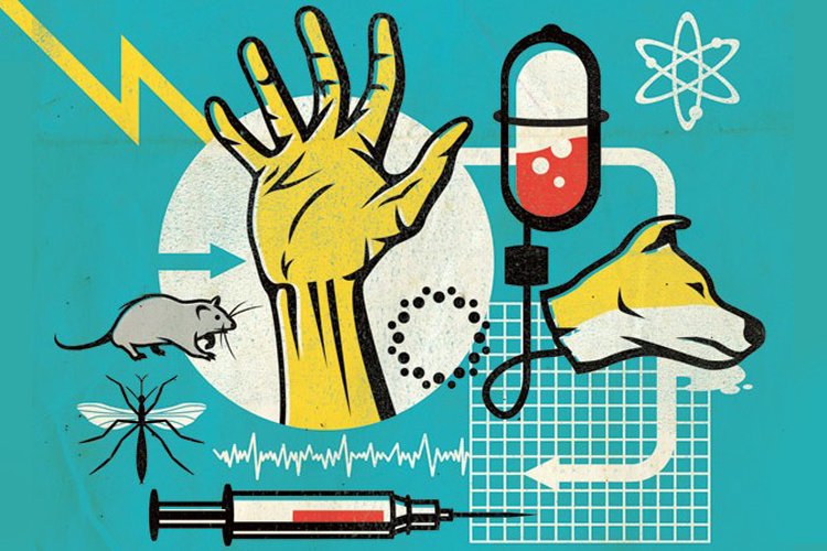 Эффект Лазаря. Четыре истории о людях, которые пытались воскрешать мертвых Эффект Лазаря. Четыре истории о людях, которые пытались воскрешать мертвых