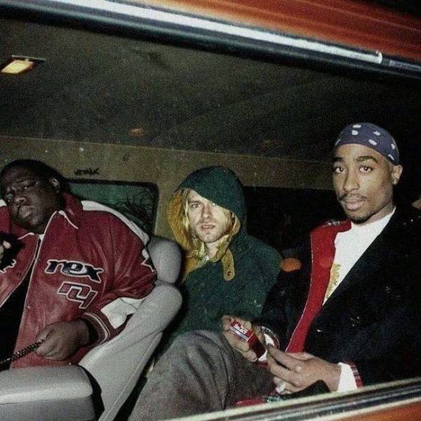 Яркие снимки вместо тысячи слов