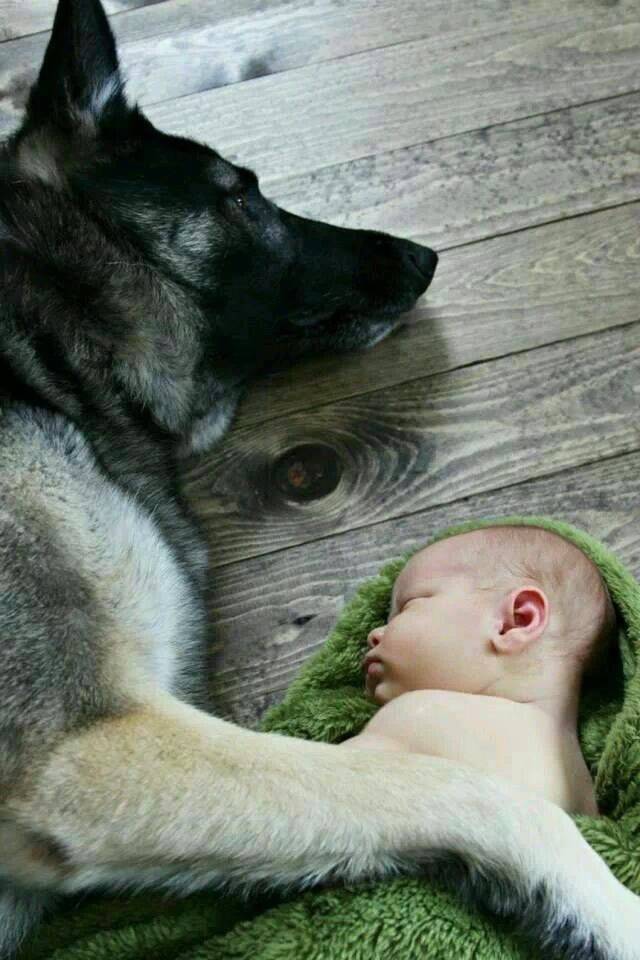 Яркие снимки вместо тысячи слов