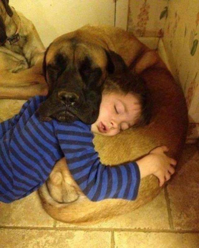 Яркие снимки вместо тысячи слов