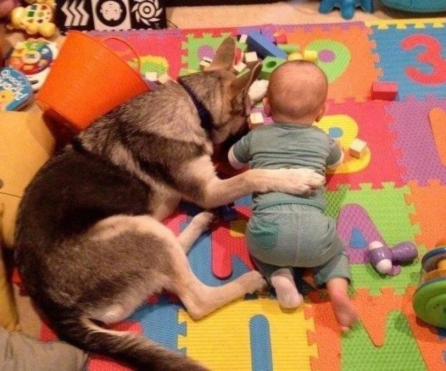 Яркие снимки вместо тысячи слов