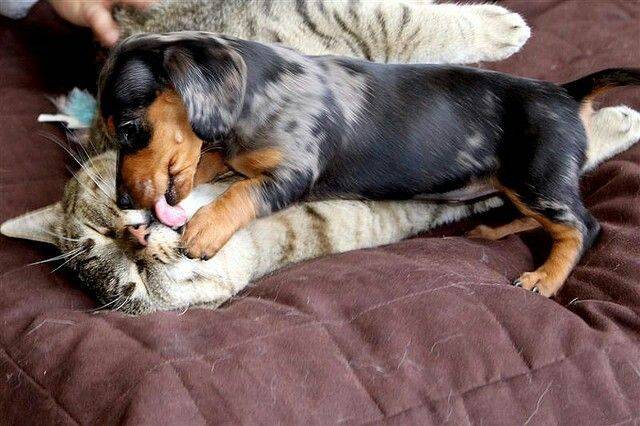 Яркие снимки вместо тысячи слов