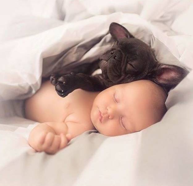 Яркие снимки вместо тысячи слов