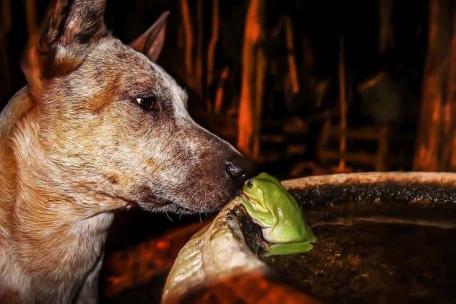 Яркие снимки вместо тысячи слов