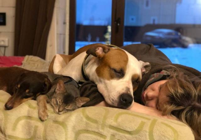 Яркие снимки вместо тысячи слов