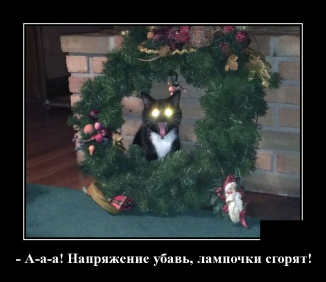 Демотиваторы