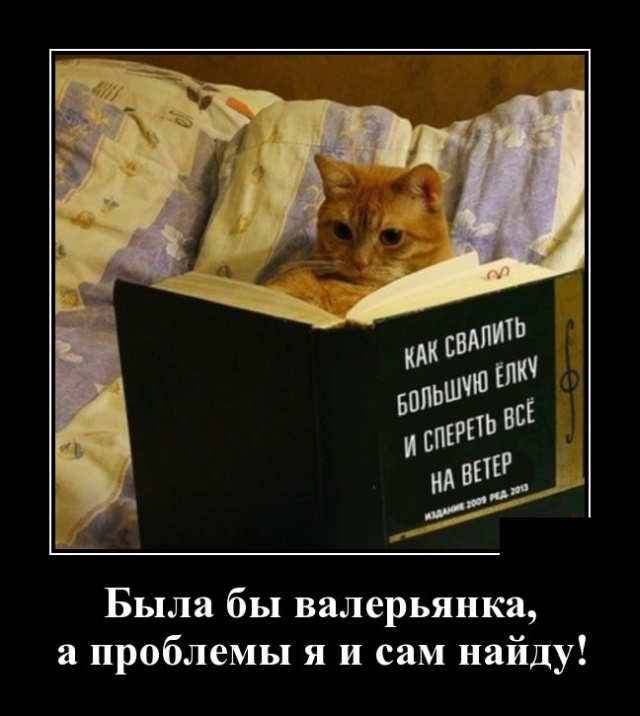 Демотиваторы