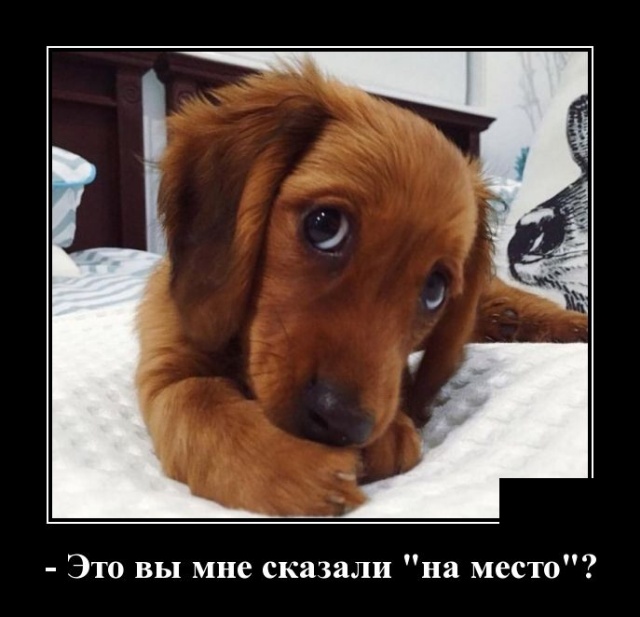 Демотиваторы