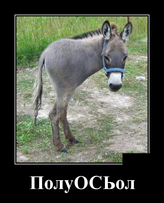 Демотиваторы