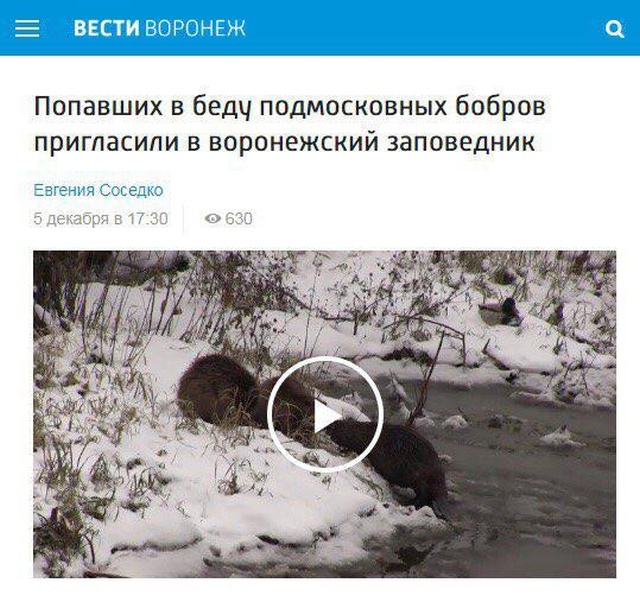 Странные заголовки новостей в отечественных СМИ