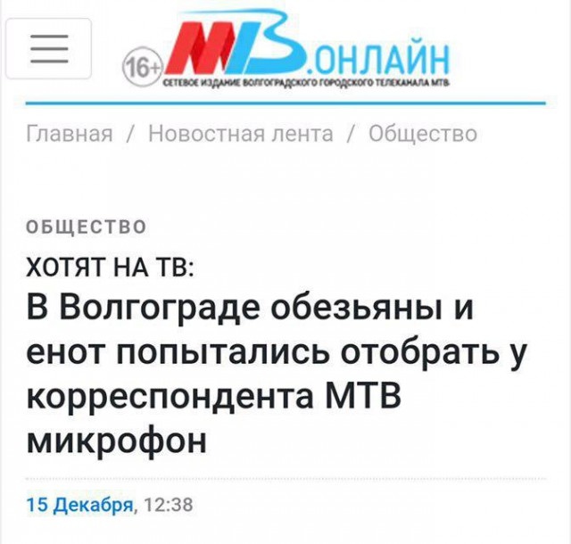 Странные заголовки новостей в отечественных СМИ