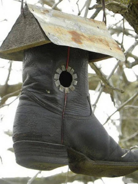 Фотографии с просторов нашей бескрайней