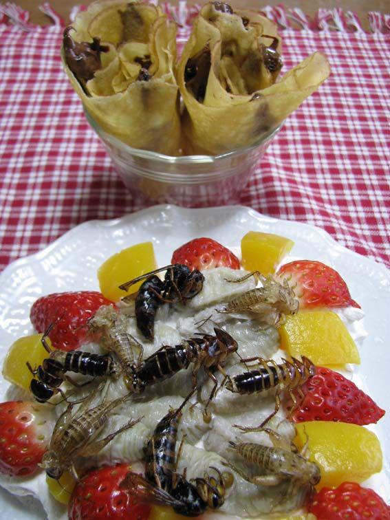 Оригинальные блюда японской кухни