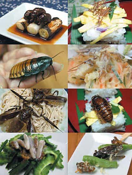 Оригинальные блюда японской кухни