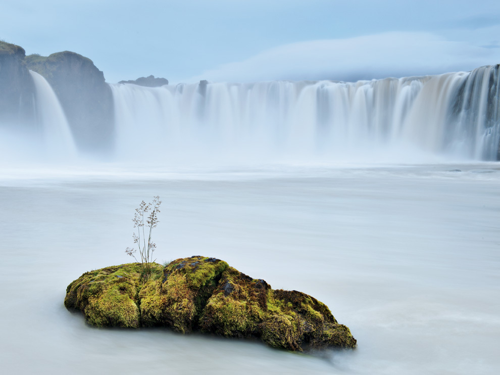 National Geographic: лучшие фотографии февраля
