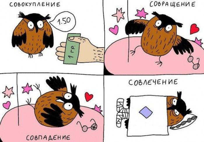 Прикольные картинки