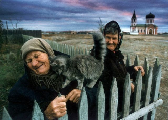 Прикольные картинки (79 фото)