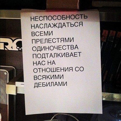 Прикольные картинки (79 фото)