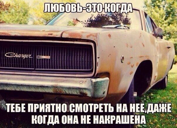 Прикольные картинки (79 фото)