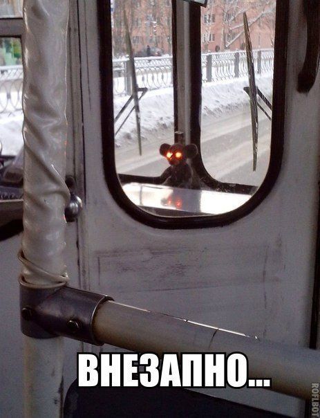 Прикольные картинки (79 фото)