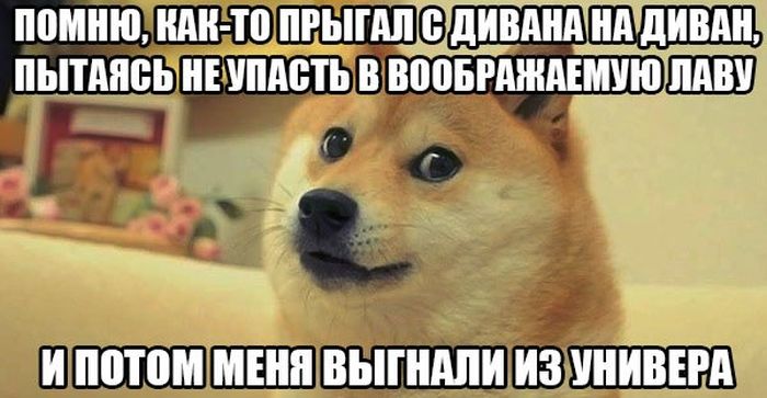Порция картинок
