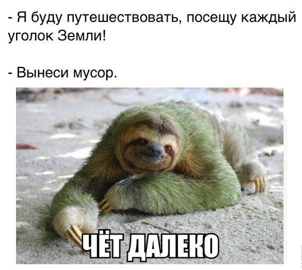 Порция картинок