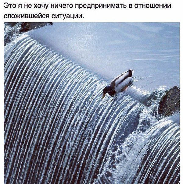 Порция картинок