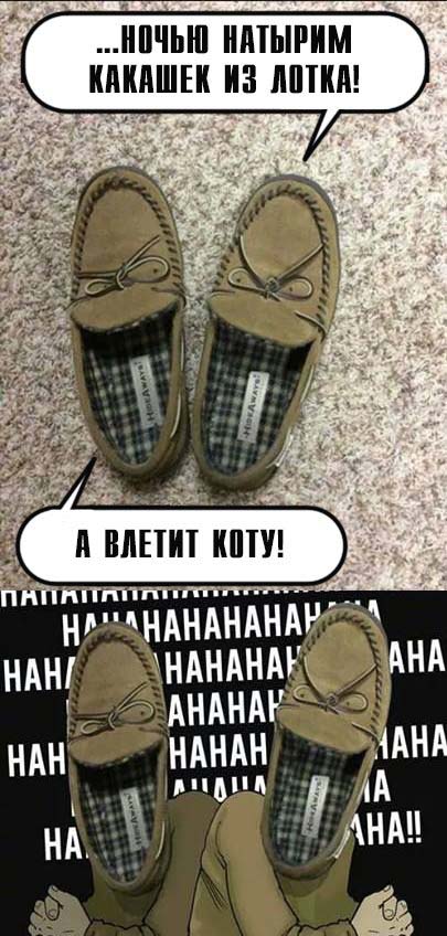 Порция картинок