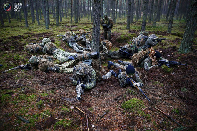 Как проходили учения по территориальной обороне в Польше