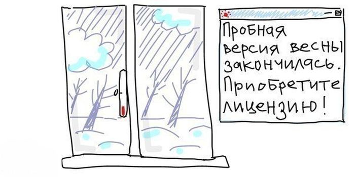 Порция картинок