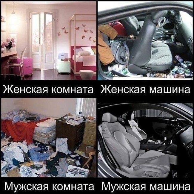 Порция картинок