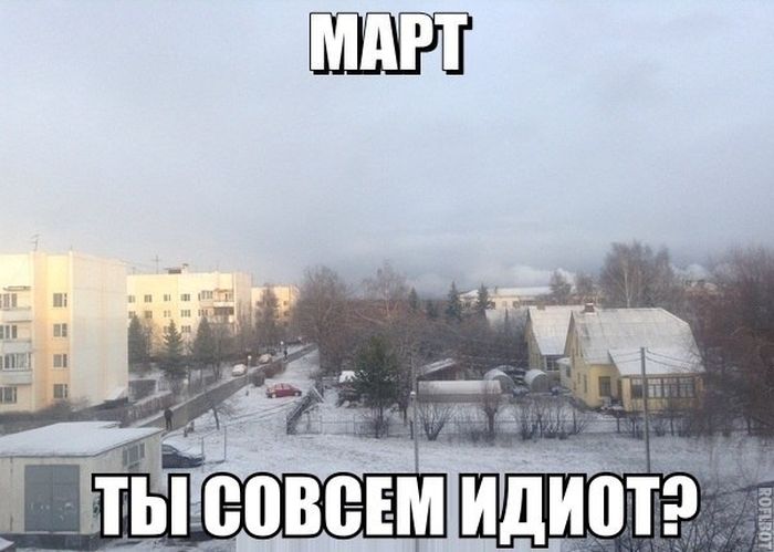 Порция картинок
