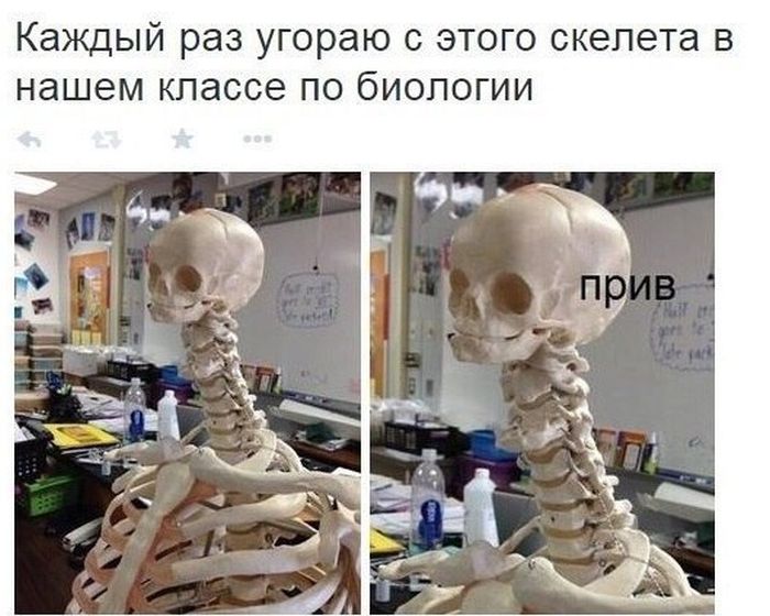 Порция картинок