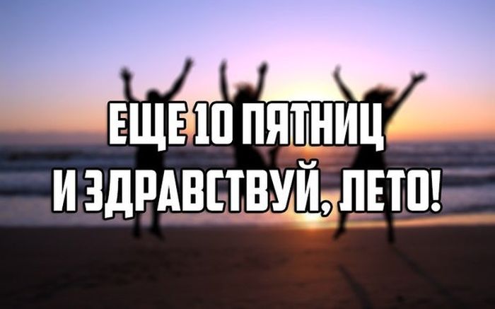 Порция картинок