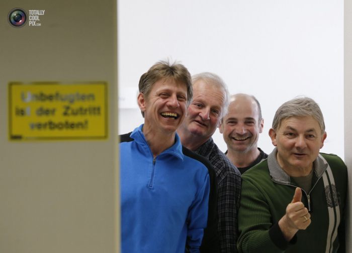 Как берут сперму у быков-производителей