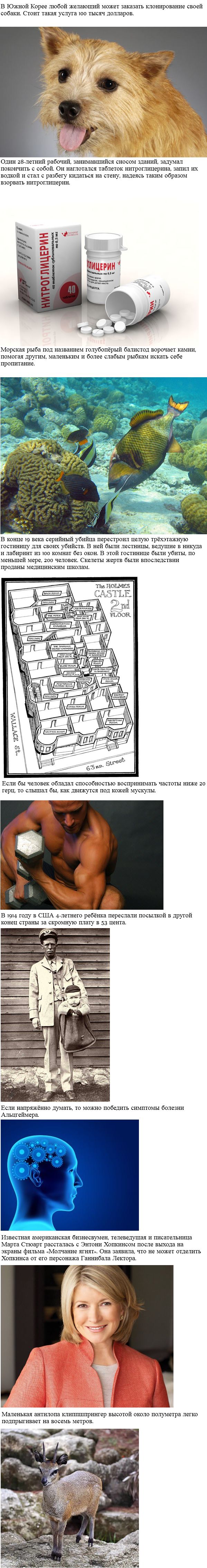 Интересные факты обо всем
