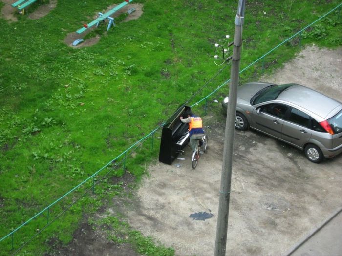 Прикольные картинки