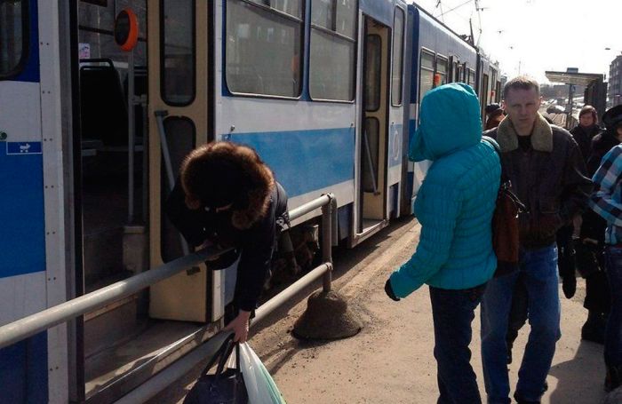 Прикольные картинки