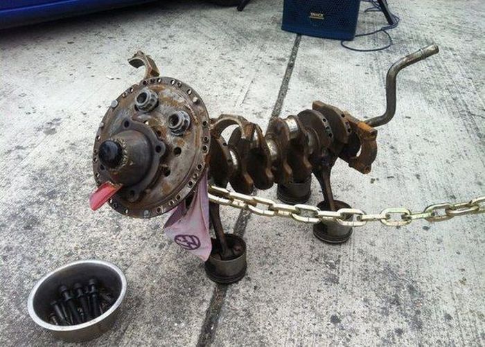 Прикольные картинки