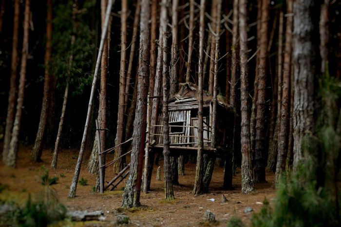 Прикольные картинки