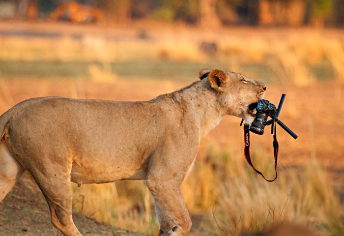 Прикольные картинки