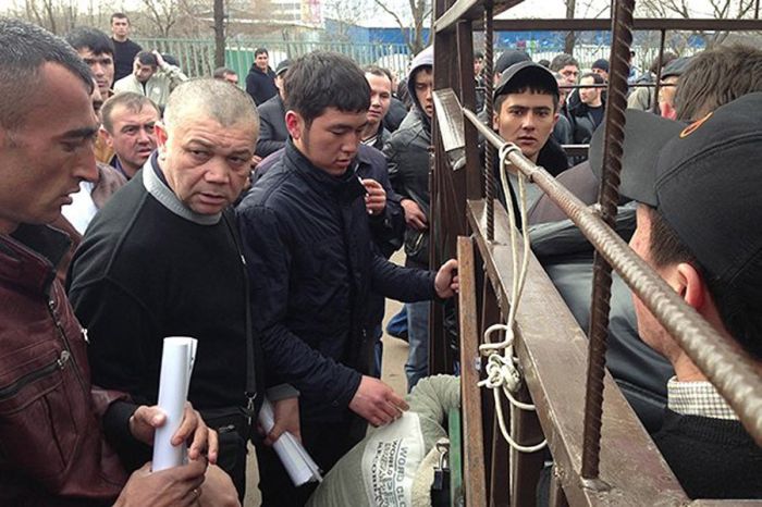 Как иностранцы получают разрешение на работу в Москве (14 фото)