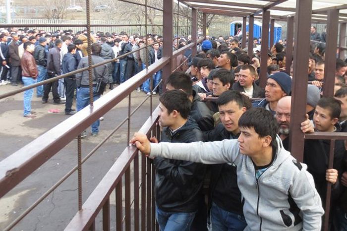 Как иностранцы получают разрешение на работу в Москве (14 фото)