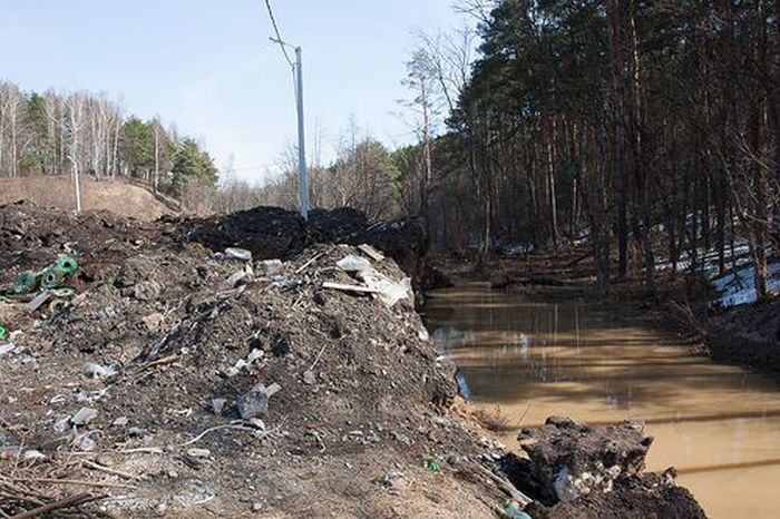 Власти Красногорска угробили пляж (12 фото)