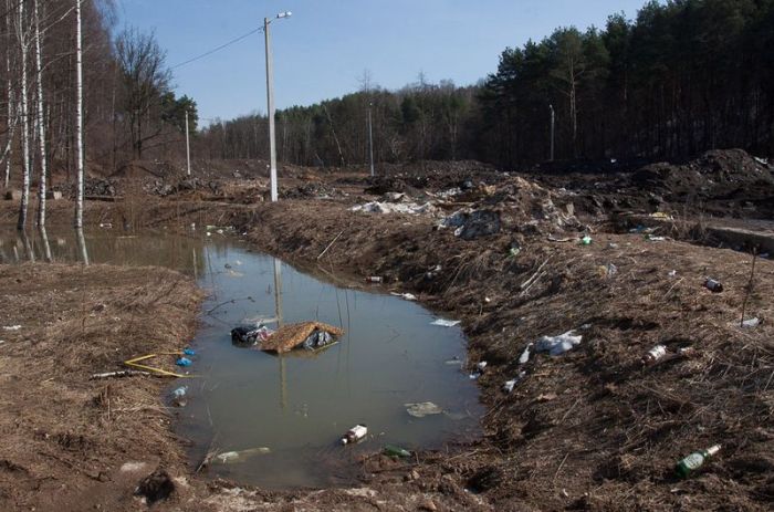 Власти Красногорска угробили пляж (12 фото)