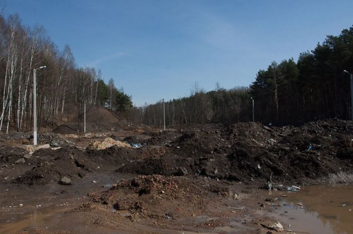 Власти Красногорска угробили пляж (12 фото)