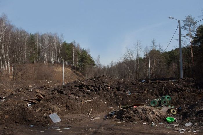 Власти Красногорска угробили пляж (12 фото)