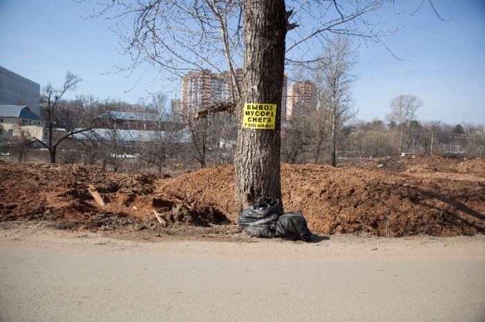 Власти Красногорска угробили пляж (12 фото)