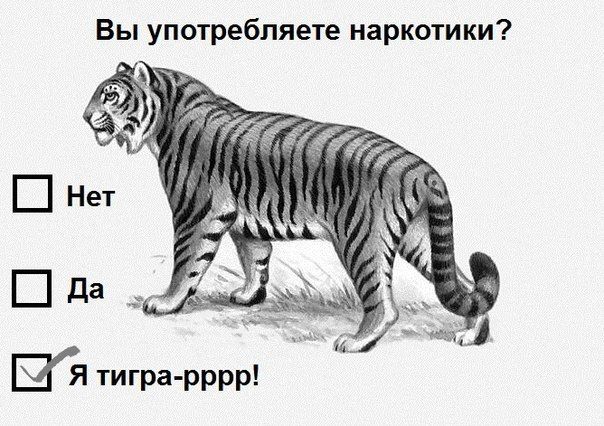 Прикольные картинки (101 фото)