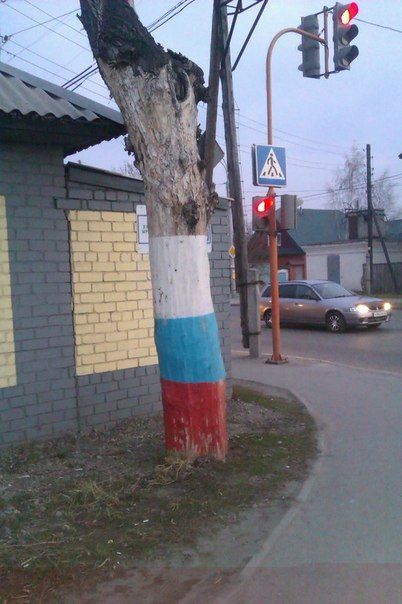 Прикольные картинки (101 фото)